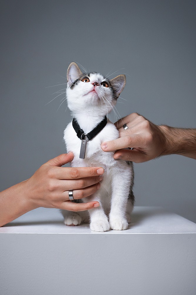 Третий — не лишний Третий — не лишний